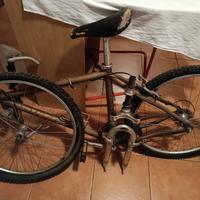 Mountain bike telaio alluminio