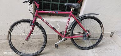 bicicletta GIANT