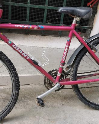 bicicletta GIANT