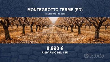 Immobile in asta di 13973 m² a Montegrotto Terme