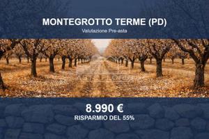 Immobile in asta di 13973 m² a Montegrotto Terme