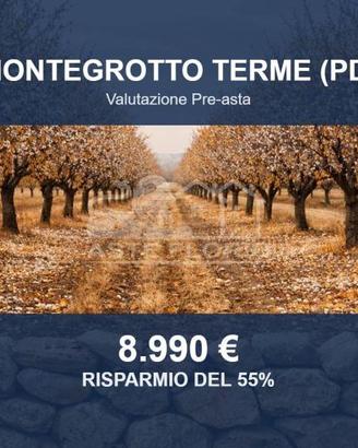 Immobile in asta di 13973 m² a Montegrotto Terme