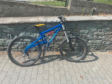 Bicicletta downhill