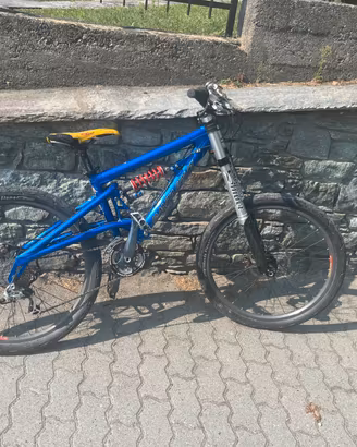 Bicicletta downhill