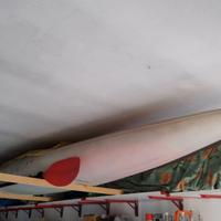 Kayak Moby Dick