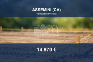 Immobile in asta di 2556 m² a Assemini