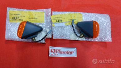 LAMPEGGIATORI POSTERIORI PIAGGO FREE DX/SX