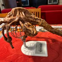 Alien Facehugger