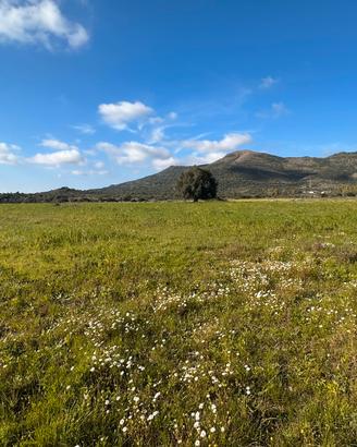Terreno agricolo