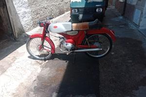 Moto Dingo Guzzi