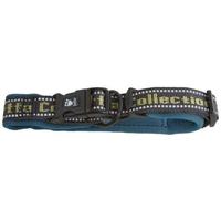 Collare per cani blu ginepro 20-30cm