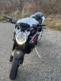 Mv brutale 800
