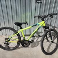 Mountain bike