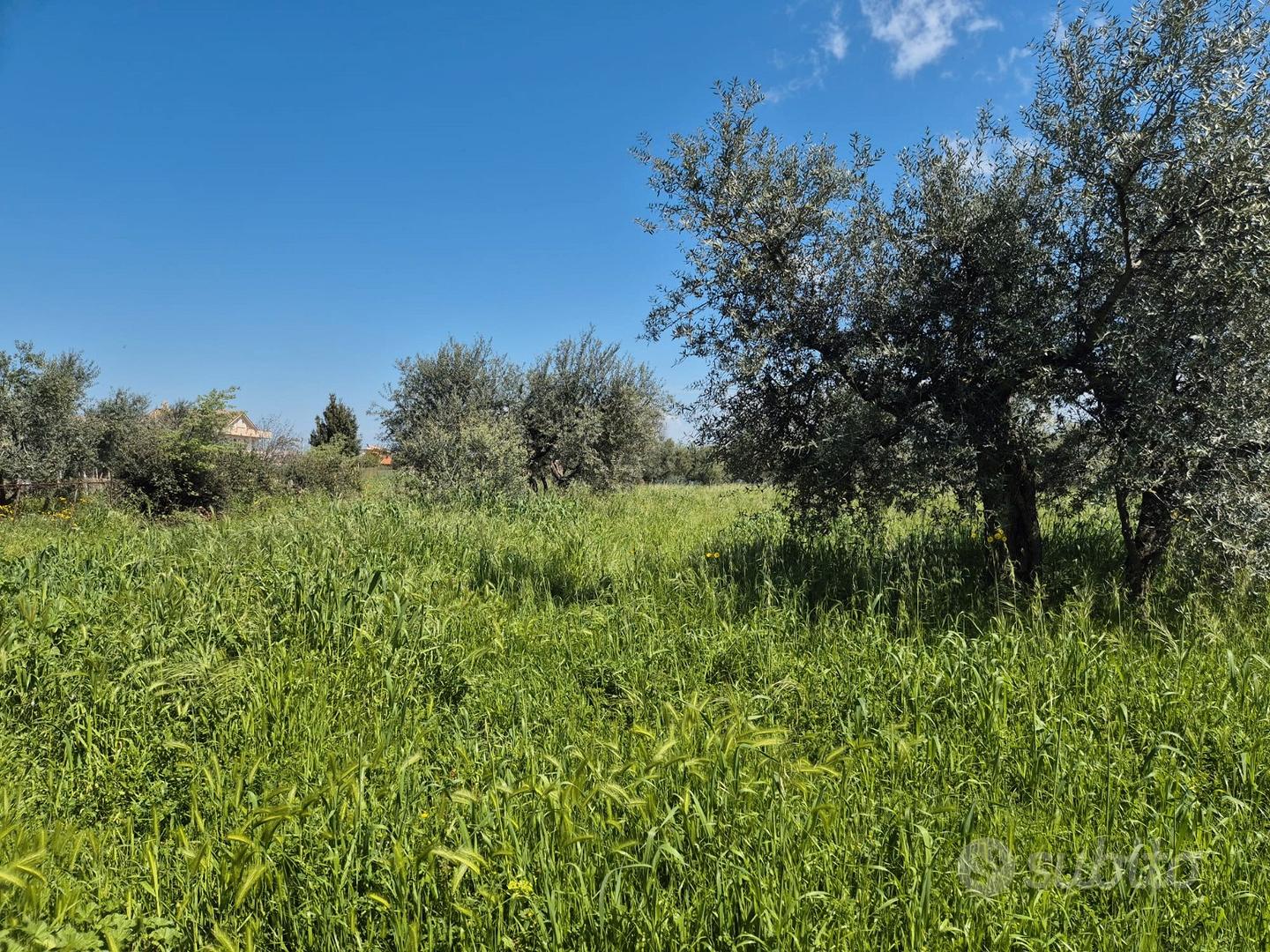Terreni a Venosa - Vista 3