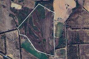 Terreno Agricolo - Alghero