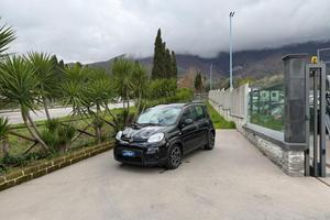 FIAT - Panda - 1.0 FireFly S&S Hybrid