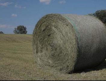 Fieno 1,2,3 taglio