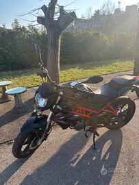 Benelli bn 125