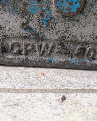 Monoblocco Jeep Ford JPW WWII go-devil L134