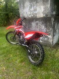 Beta rr 50