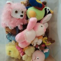 Peluche