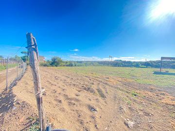 Terreno Agricolo 2.000MQ Via Arco S.Antonio FL297