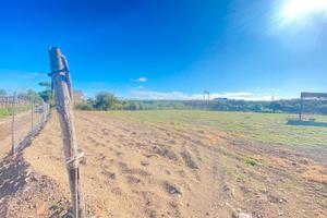 Terreno Agricolo 2.000MQ Via Arco S.Antonio FL297