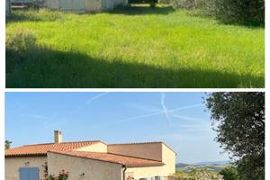 Tenuta Agricola immersa nel verde con due case