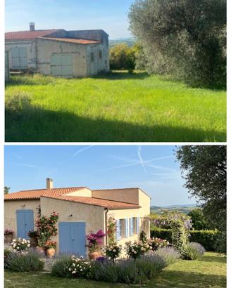 Tenuta Agricola immersa nel verde con due case