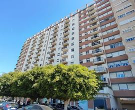 5 LOCALI A PALERMO