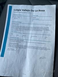 Carpentiere saldatore