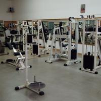 Istruttori per palestra