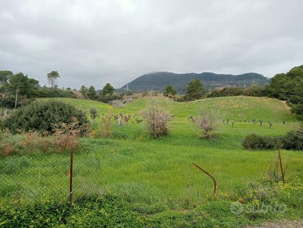 Terreno agricolo