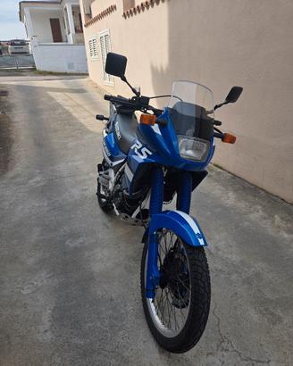 DR 650 RS anno 1991 da vetrina