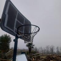 basket canestro 