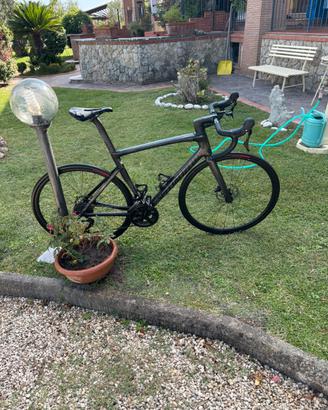 Specialized sl7