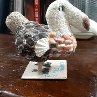 dodo originale delle Mauritius 