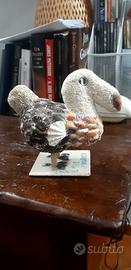 dodo originale delle Mauritius 
