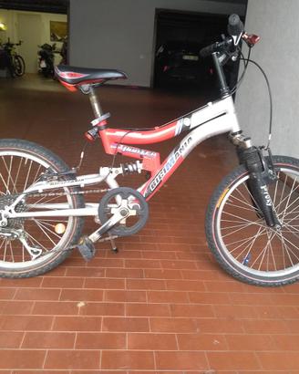 BICICLETTA BICIMANIA RAGAZZO