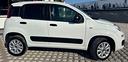 fiat-panda-van-4x4-benzina-fatturabile-garanzia