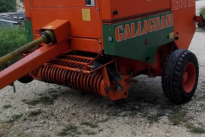 Rotopressa gallignani