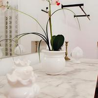 Casa Vacanze appartamento Salento Puglia palazzo