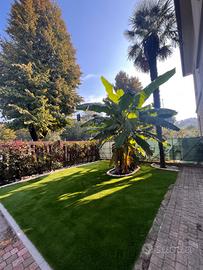 Villa con giardino
