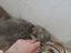 Immagine 4