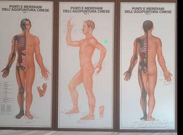 Trittico di stampe Agopuntura Cinese