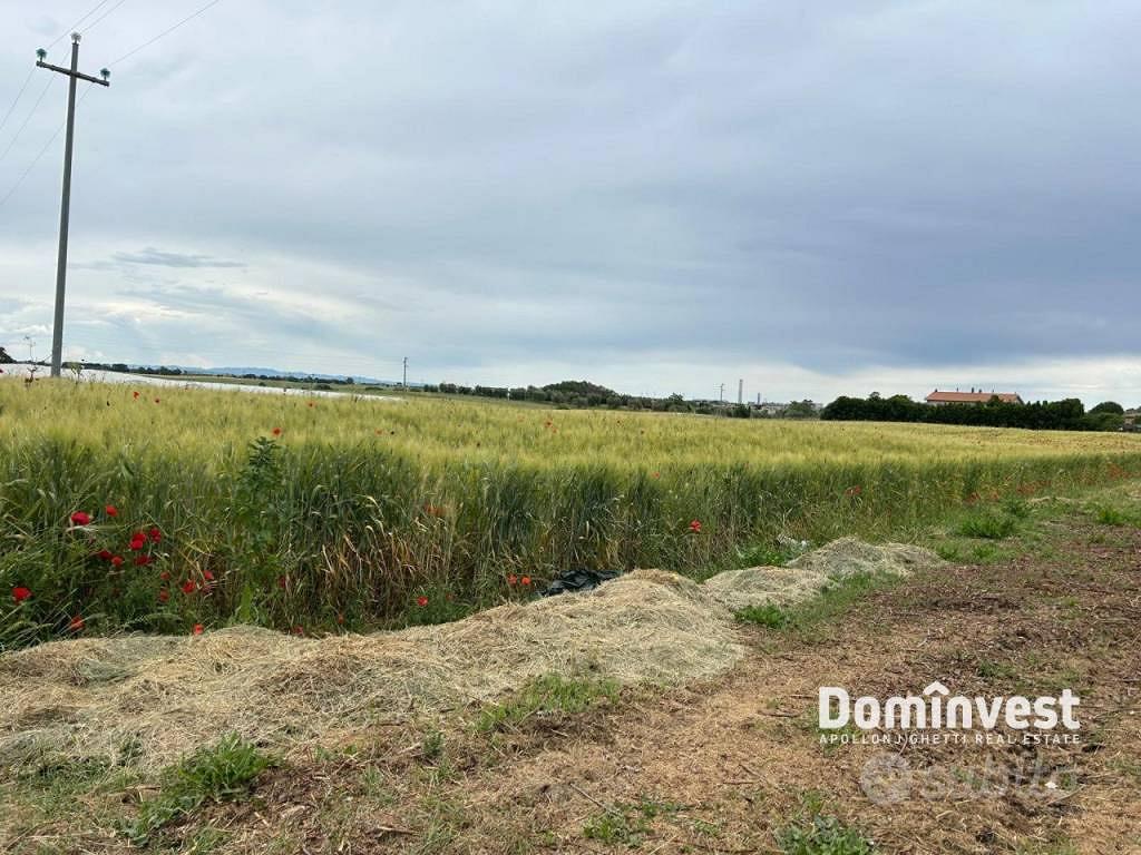 Terreno di 33000 m² a Montalto di Castro - Vista 5