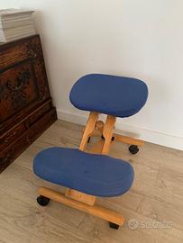 Sedia ergonomica