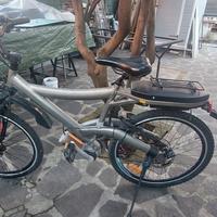 Bici elettrica