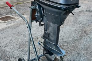 motore fuoribordo Johnson 15cv