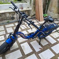 bici elettrica reset fat bike 